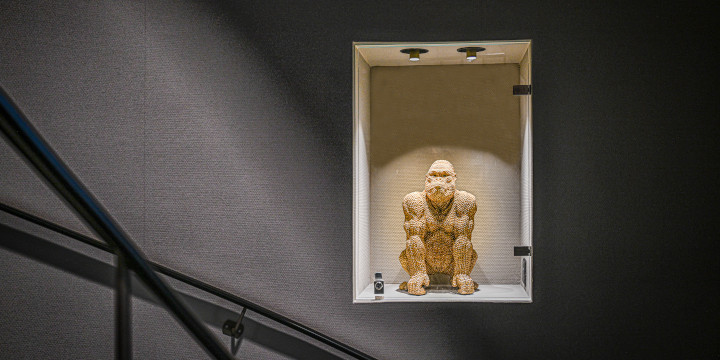 Modernes und stylisches Interior